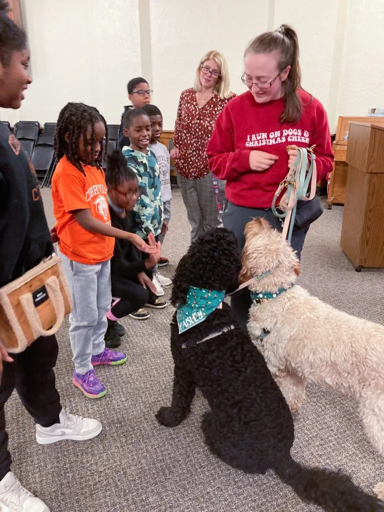Therapy dogs with school children